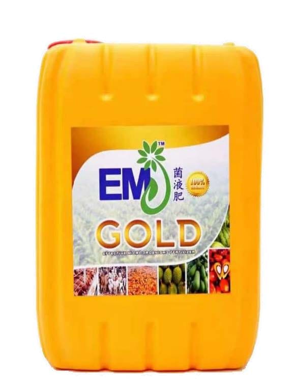 EMJ GOLD CECAIR