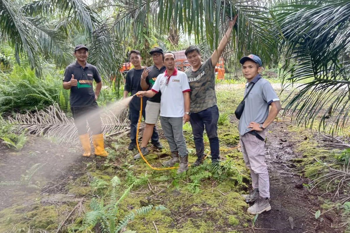 Ladang NAFAS Sg Karap, Miri, Sarawak