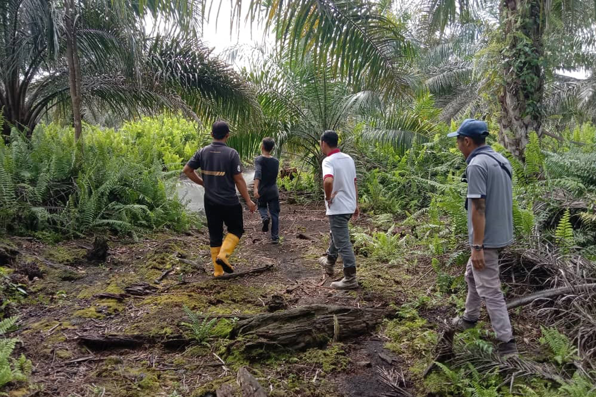 Ladang NAFAS Sg Karap, Miri, Sarawak